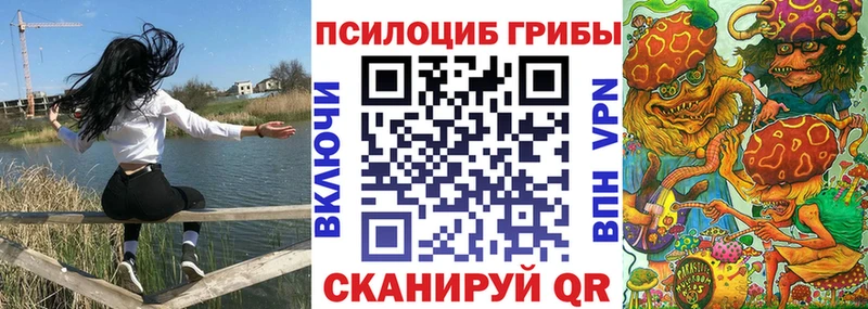 блэк спрут ССЫЛКА  Махачкала  Галлюциногенные грибы Magic Shrooms 